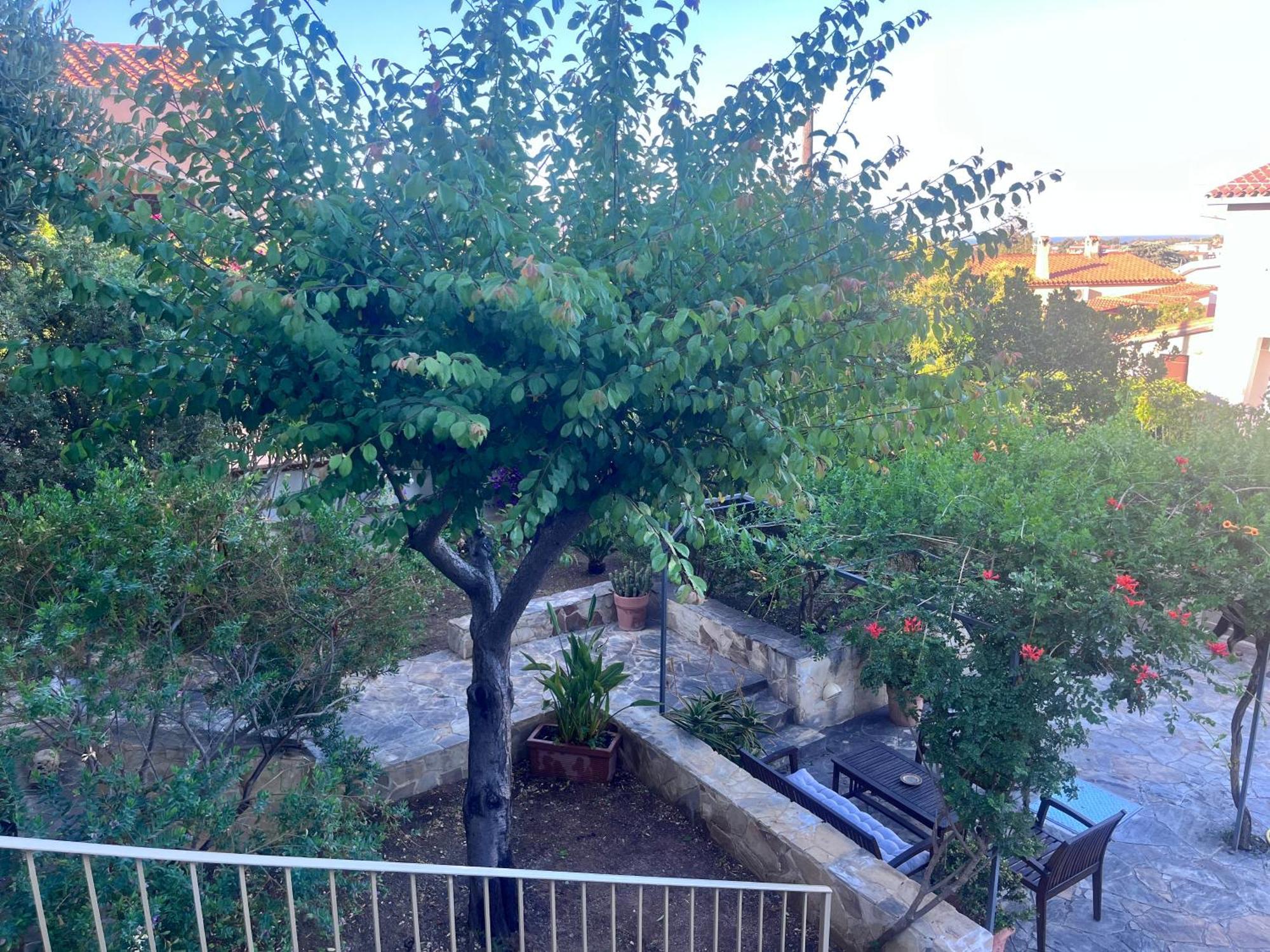 Villa Fatta Di Sogni Pula Eksteriør bilde